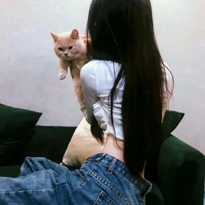小鱼儿与花无缺